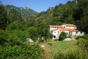 Amélie-les-Bains-Palalda